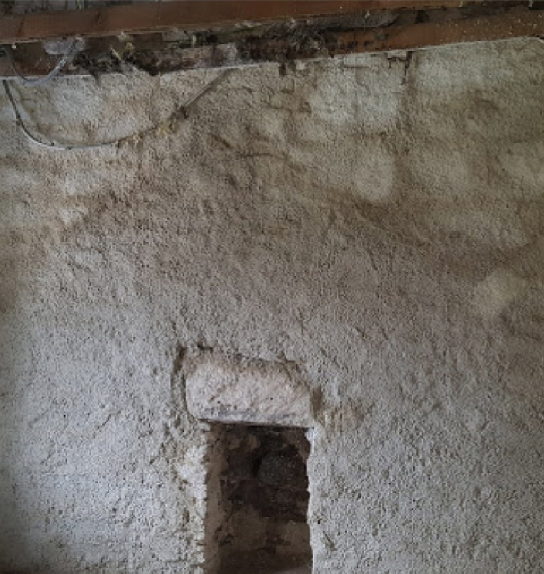 Lime Walls